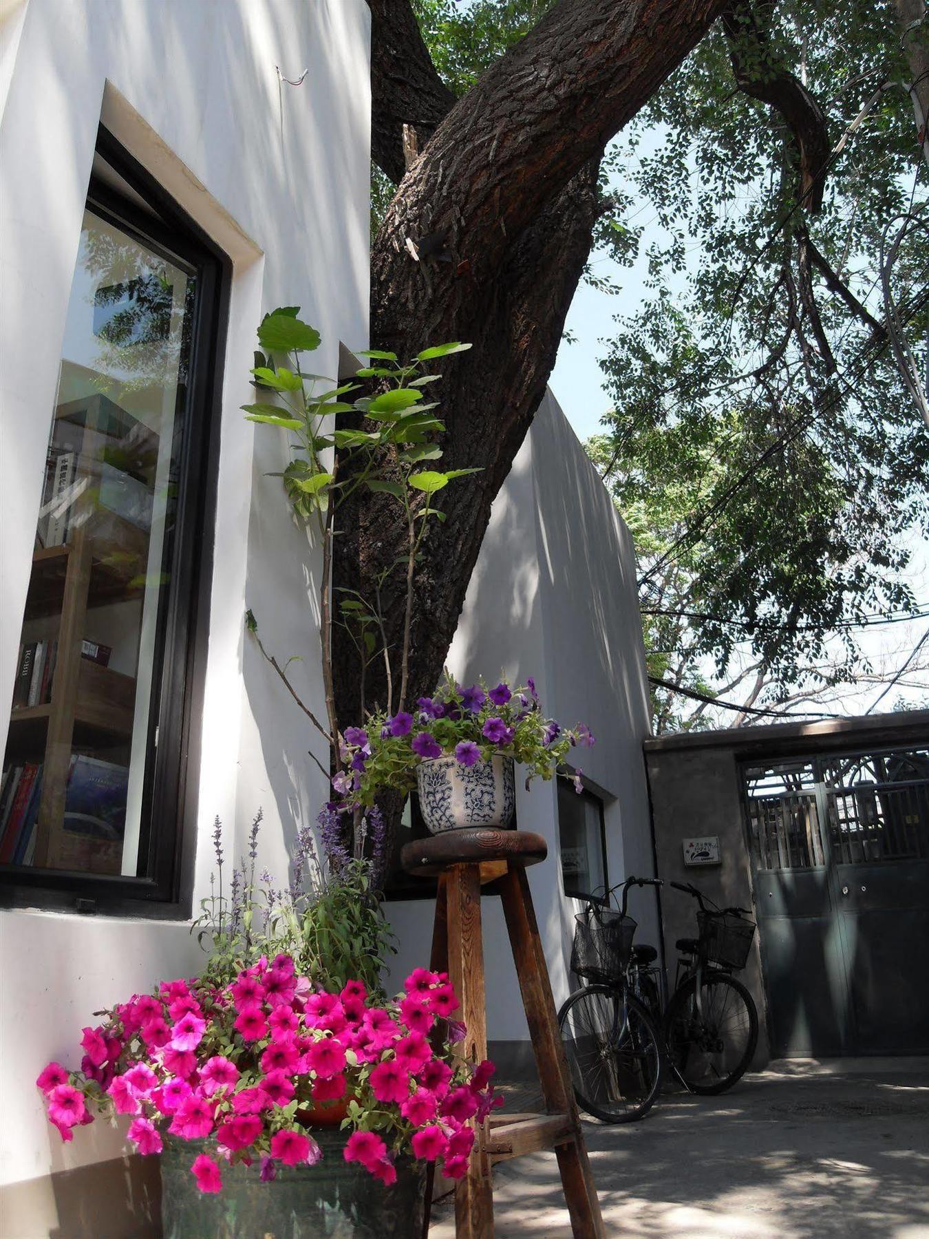 Beijing Wohkoon Hostel-Nan Luo Gu Xiang Branch Dış mekan fotoğraf