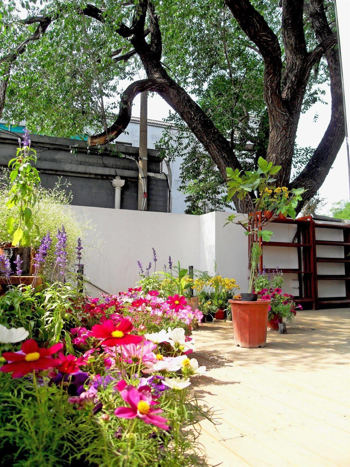 Beijing Wohkoon Hostel-Nan Luo Gu Xiang Branch Dış mekan fotoğraf